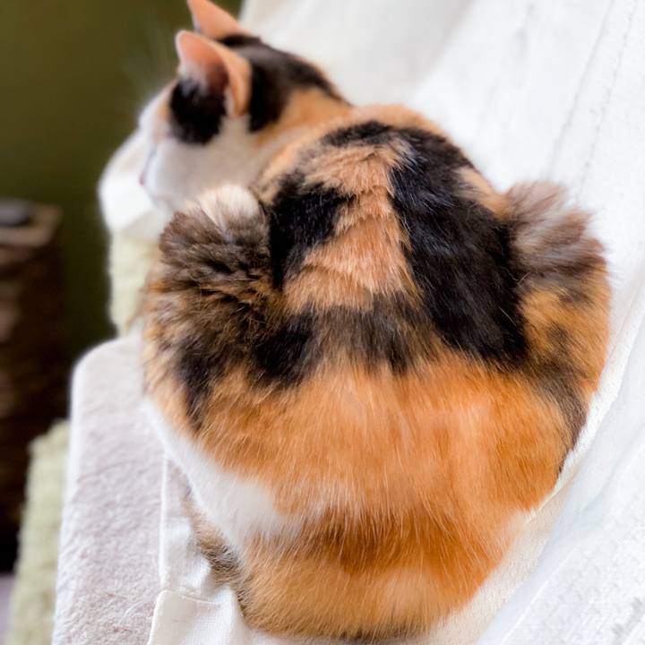 E4168733 c192 419a 8e38 17919bd6a2fc 1563758771808