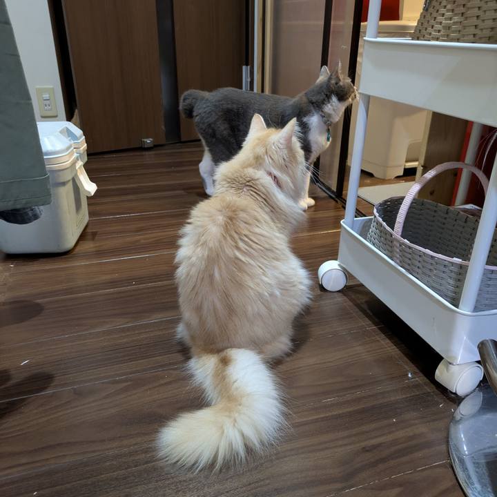 E416d058 9897 4ebb abeb 289d5e25120b 1756295034712