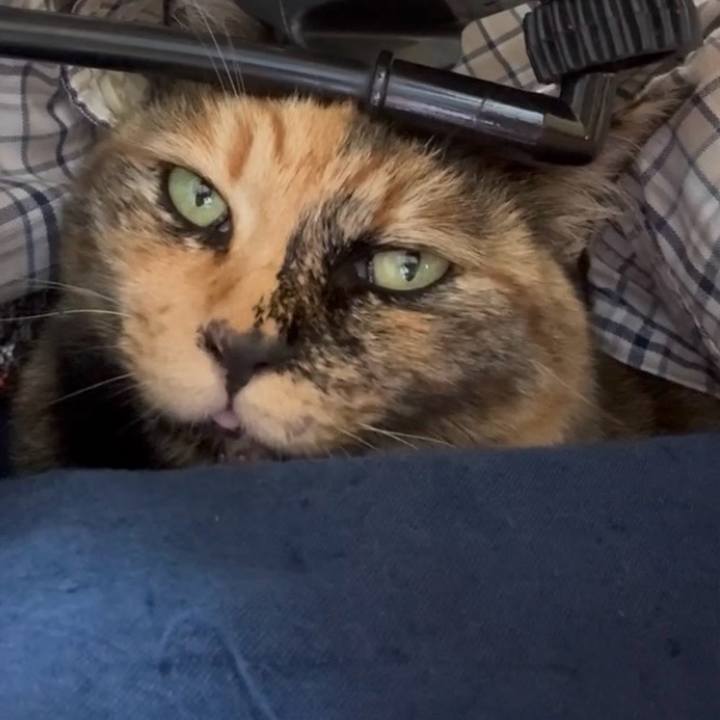 E416d833 198e 496c 8342 c7c850dfe012 1750902705614