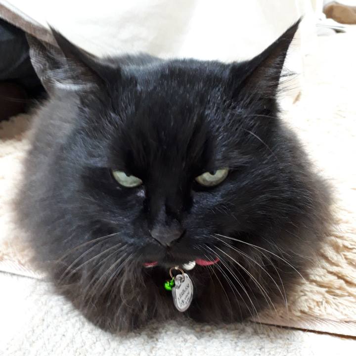 E416f987 9da3 4df2 8b01 dcbdebf9adda 1523187090555