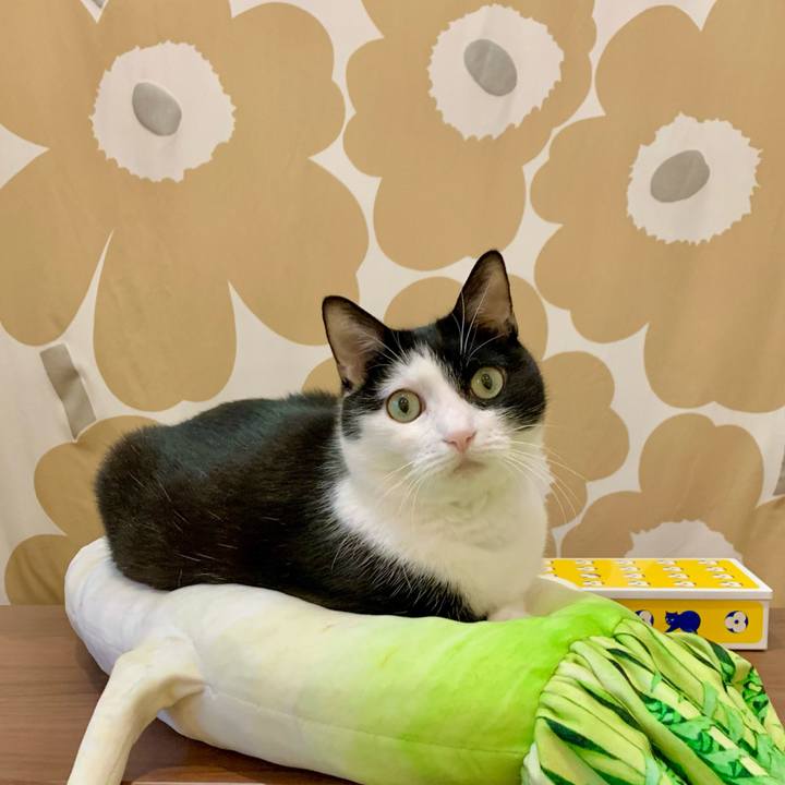 E4173227 dbf1 4f74 b8e5 510598b20576 1682636712590