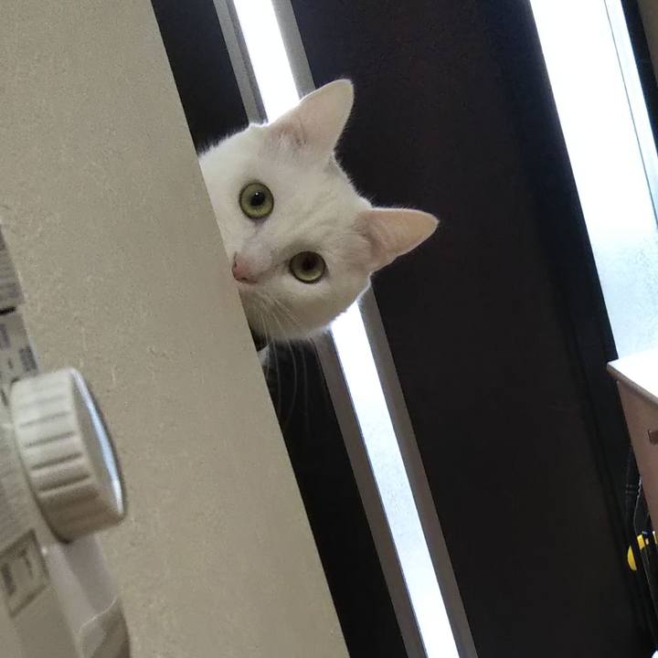 E4173c29 6cb4 42a8 8393 24dcbbad138c 1644709411773