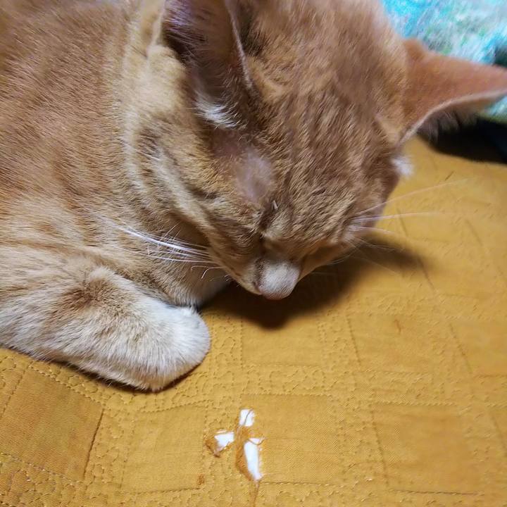 E41798ea 5cf6 4b53 b9e6 ea31bb32a58f 1556795759506