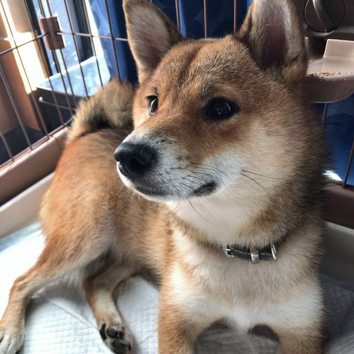 E417a164 5453 41d7 8fec f6ac14126f0c 1534998434525