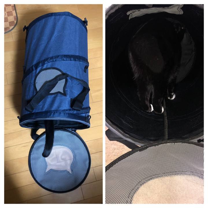 E417df64 247c 4ef0 b828 fa171933e6fb 1544825033373