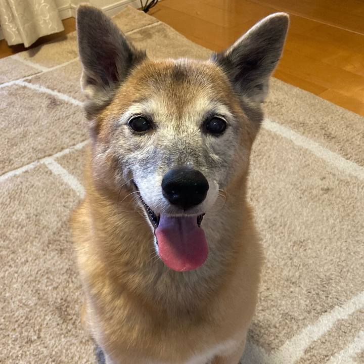 E417e614 f128 4e3d 98a5 c1b154543e53 1764629519425