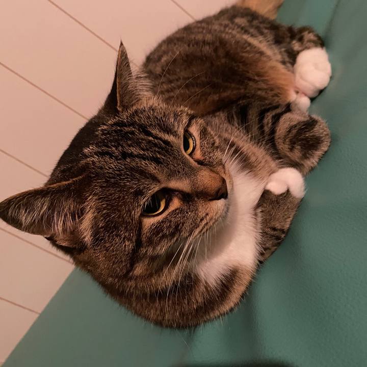 E418a944 f2e6 4480 94a1 cedeea3a20b0 1588761505319