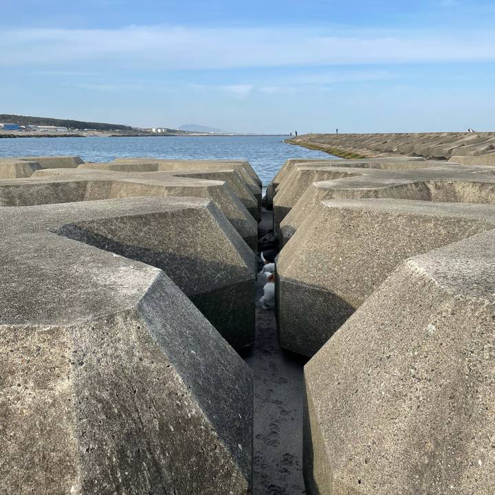 E418ae05 01e5 46ca af7e a1a862698c34 1619217487501