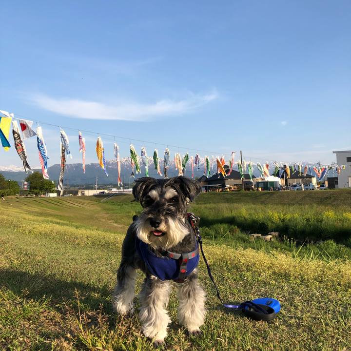 E418d47b b9a2 4d41 a3ce 3d9fefb0c67b 1682952209842