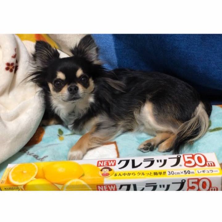 E418dd07 cedc 4b8e a88d cb36e3b206b4 1585054420463