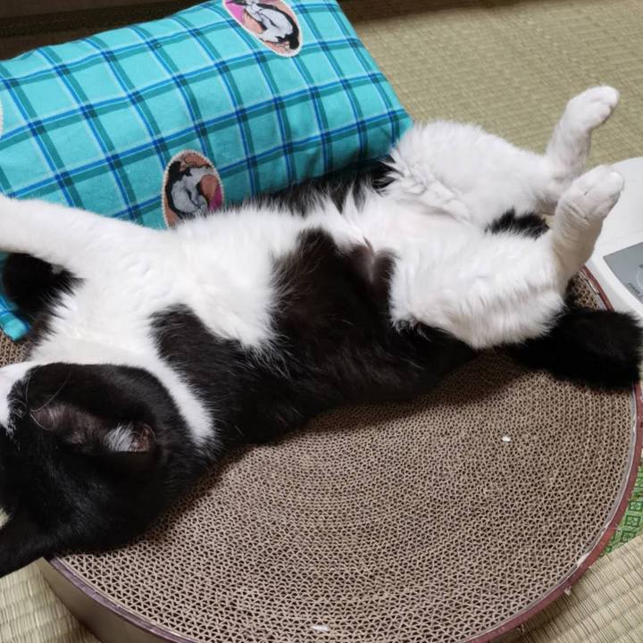 E418dfb6 0495 42dd b0d5 dc0dbee36910 1687924225643