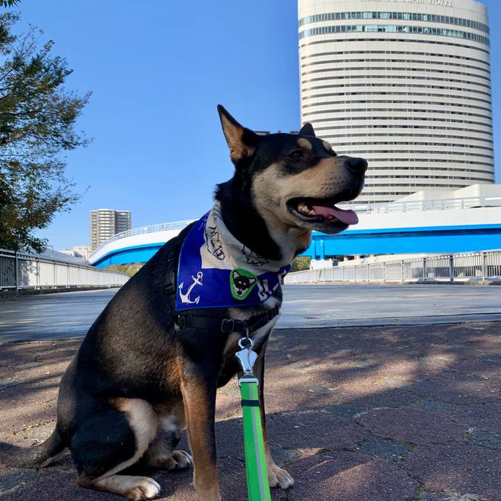 E418e28f 6201 4c1a bdc6 d00e21268f1f 1575181725423