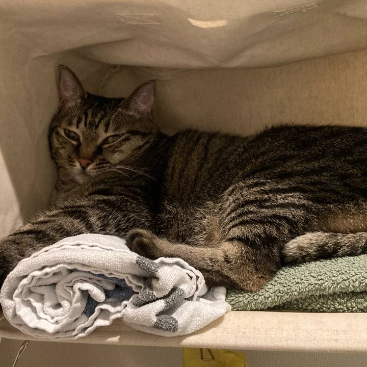 E418ed58 1d2a 4ce6 98aa 9bdfc2d1b31e 1629765940847