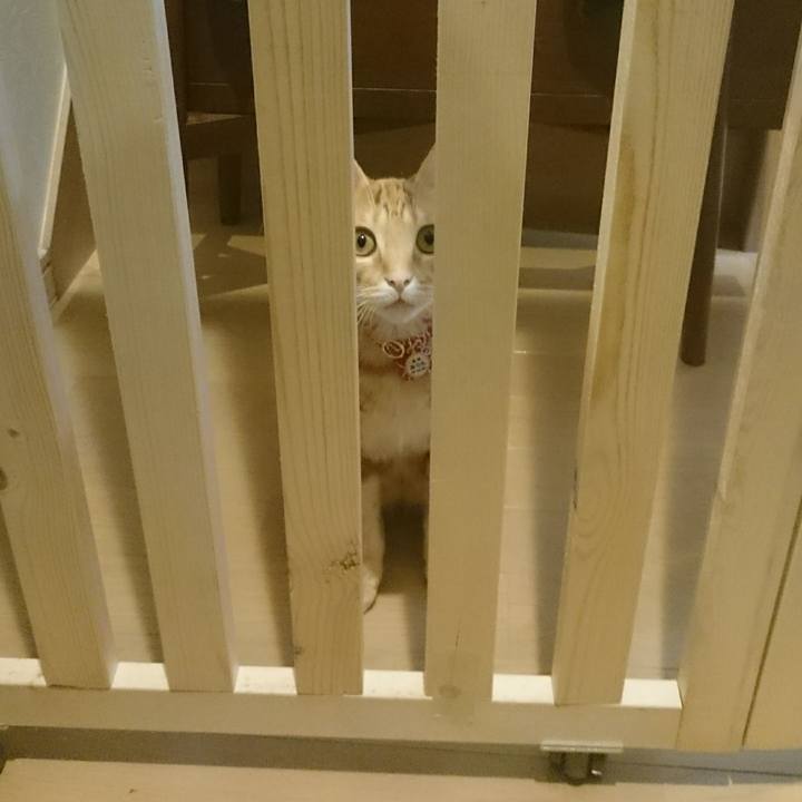 E418f103 228a 4197 9d2a 08bcec8a1bfb 1513000333926