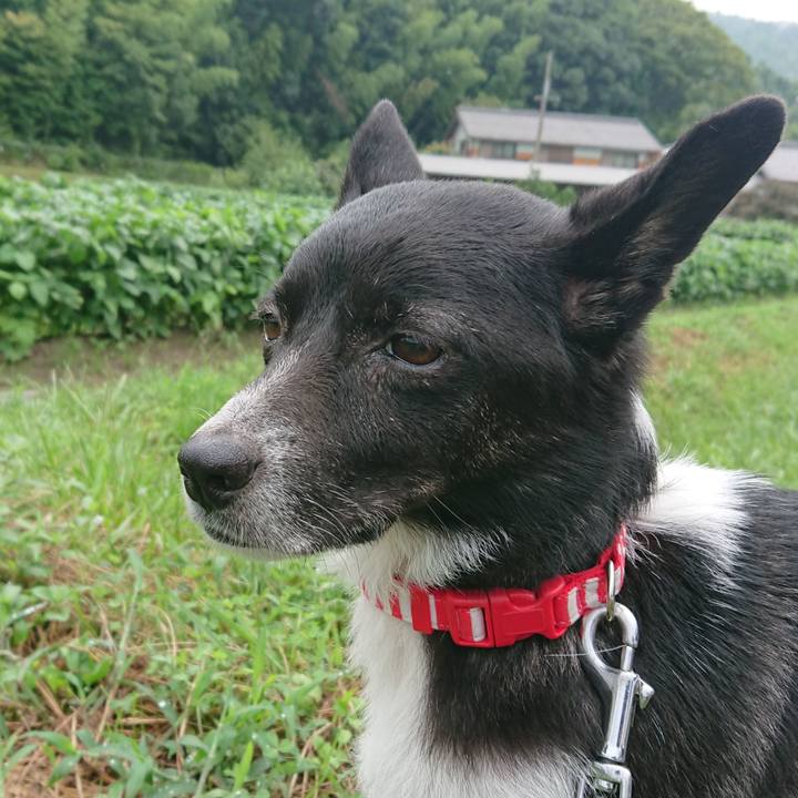 E418f9c4 5a9d 4a90 9a6c 7fe54ae30436 1566516974339