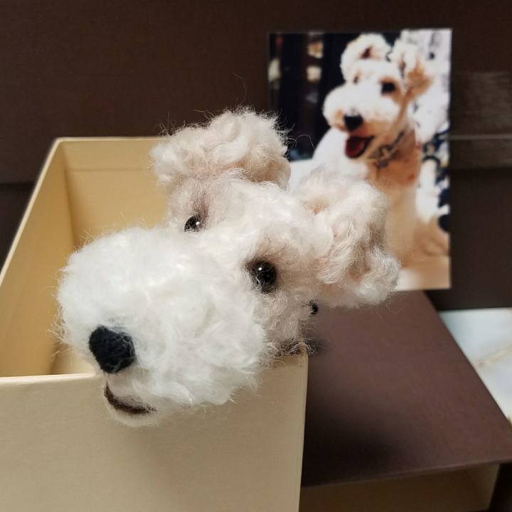 E4190e0f c921 469d 8ee0 447352096ed3 1507984575710