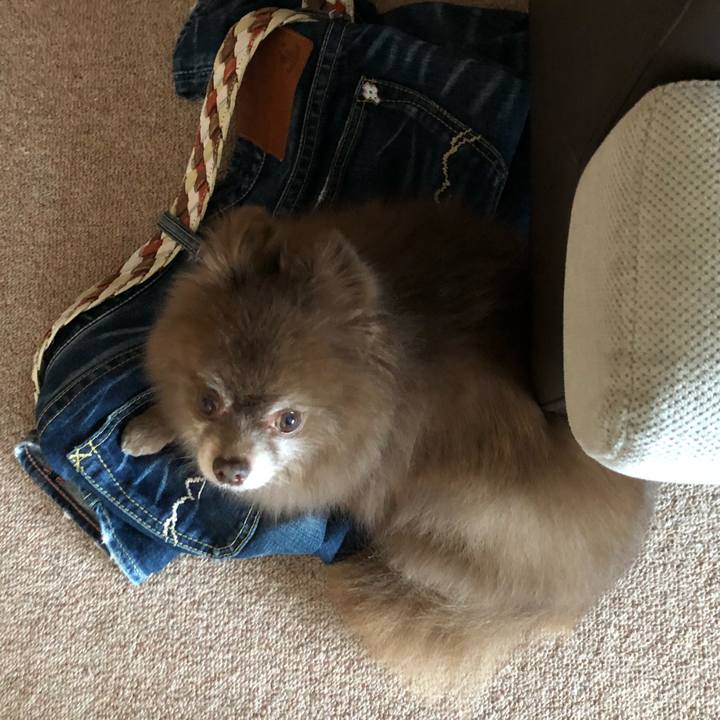 E4192272 4ae9 4f50 8fc6 0316af500c11 1583814843134