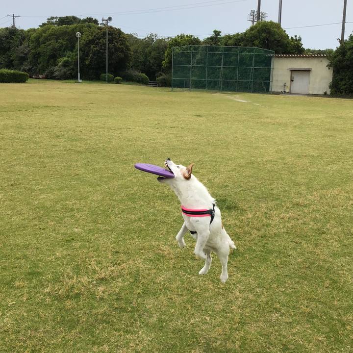 E4198222 ce3a 49e1 9f03 2bc660a6ec46 1527321731787