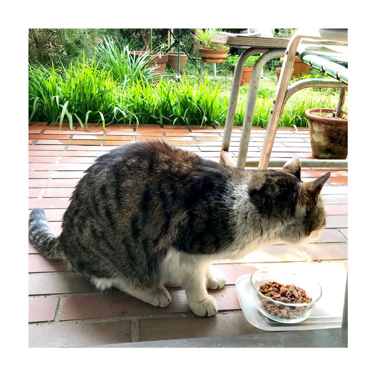 E419886c b7f8 46a9 93f4 653e72bc4cbf 1554599417482