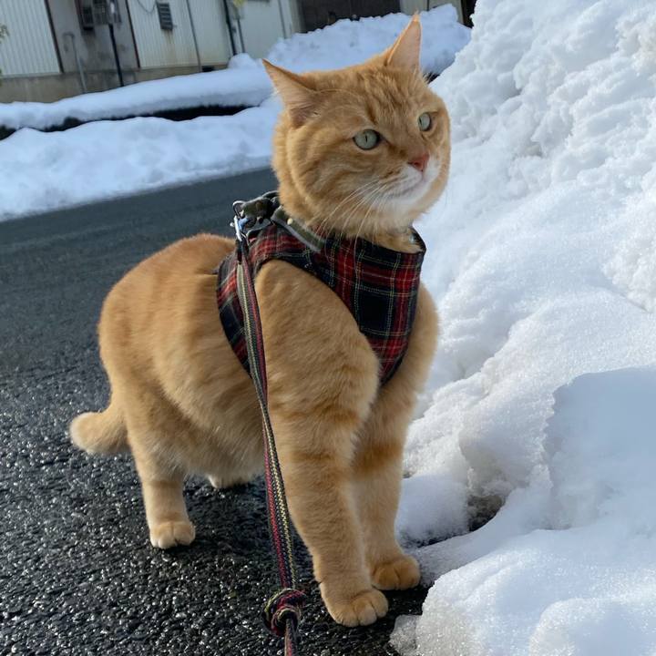 E4199dce b1eb 4e40 9e56 c41abb58ade9 1608527036784