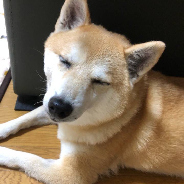 E419b46d e760 4b94 8661 be4ac24d4c5d 1565013447041