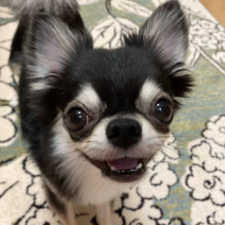 E419c8c7 46b4 4d39 9114 b108904ab9de 1627739749949