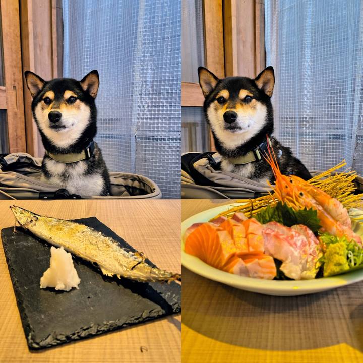 E419e3ae 9fa0 4a3c bf27 b2d338695006 1759807775042