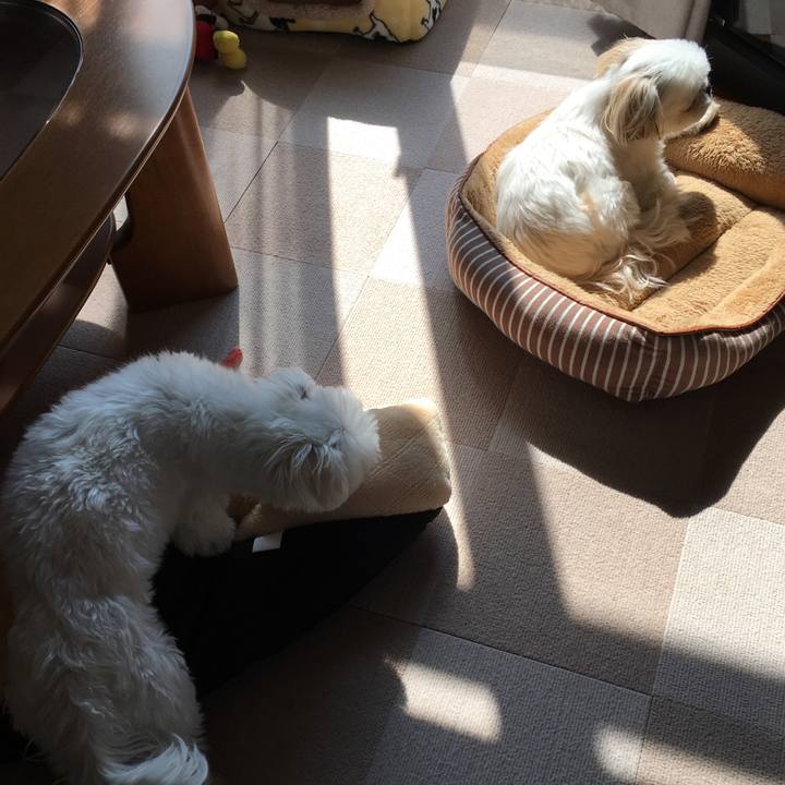 E419f084 d5be 4cd5 9faf 888e508ea790 1551828302484