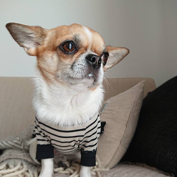 E41a7c3b 080c 40c6 9e21 ac499c83e7fd 1613553540665