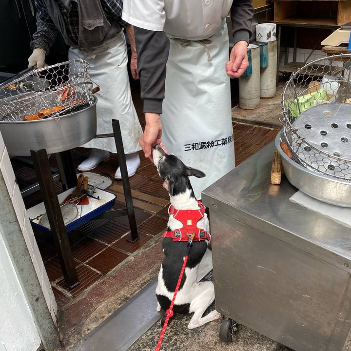 E41a7f36 36aa 43e8 89f6 4451db4f5037 1620529178549