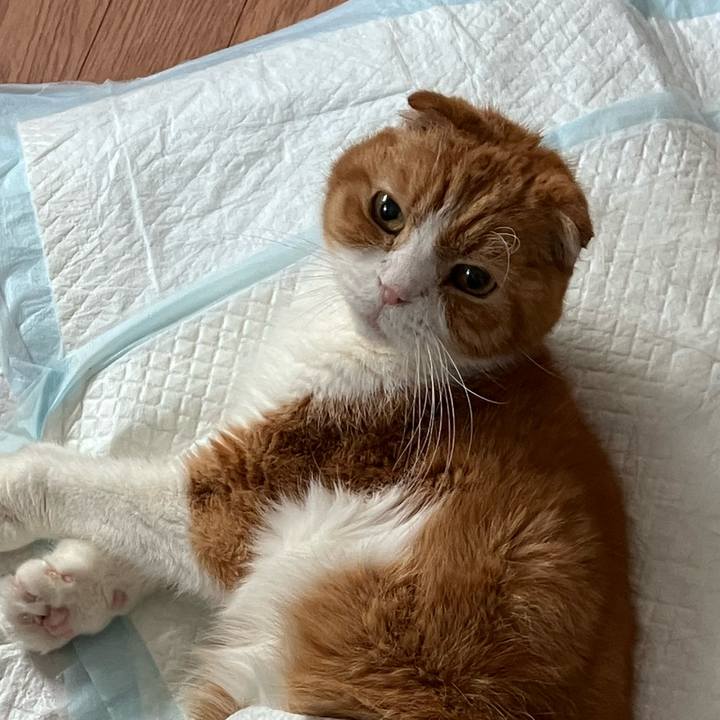 E41a9408 2517 4fc2 b699 77772b79b34f 1775654251840