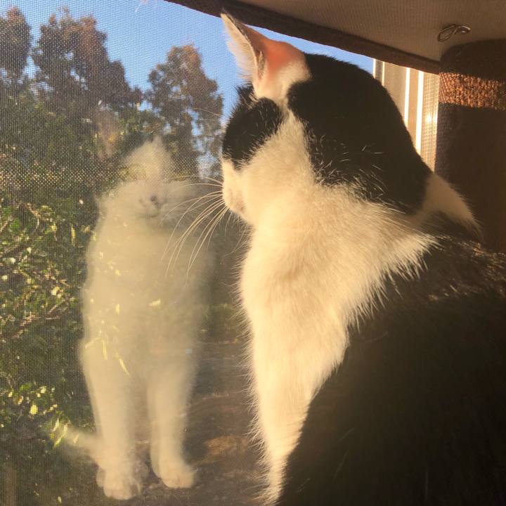 E41aa810 8a86 446f b32f 9183dddfee07 1554056367718