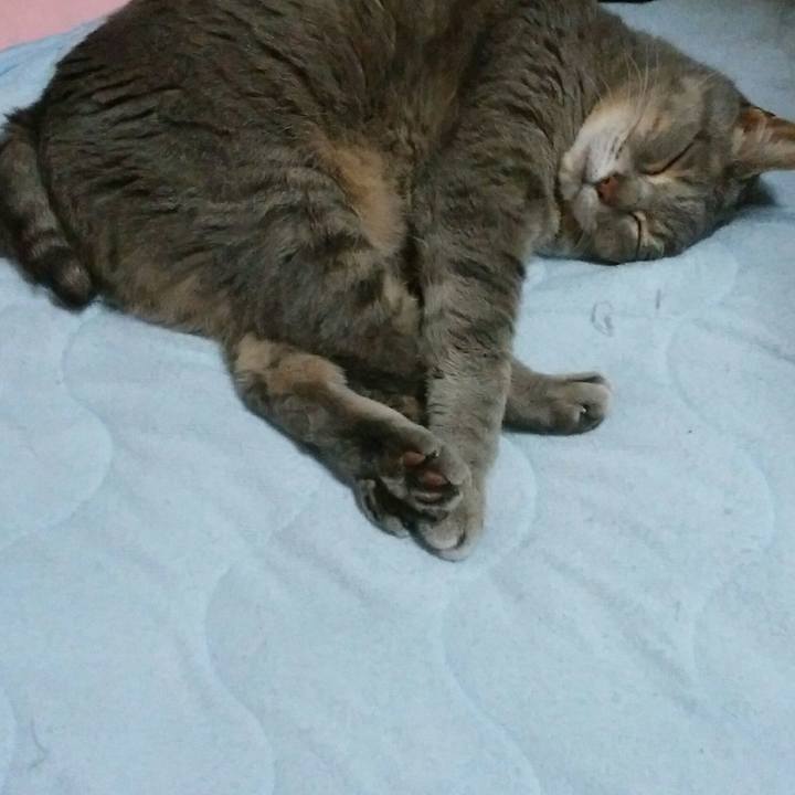 E41ae0c9 c255 466d 892c d1eb308b4e9b 1588852247814