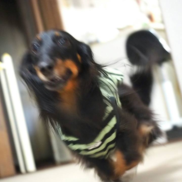 E41afb34 5e76 4b2f a3d7 d26a8739ed64 1528078501190