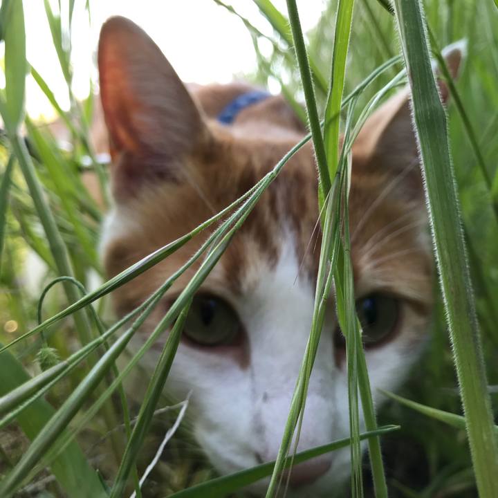 E41b0e8e 87c2 46a5 9df7 a300f238aeec 1524901705017