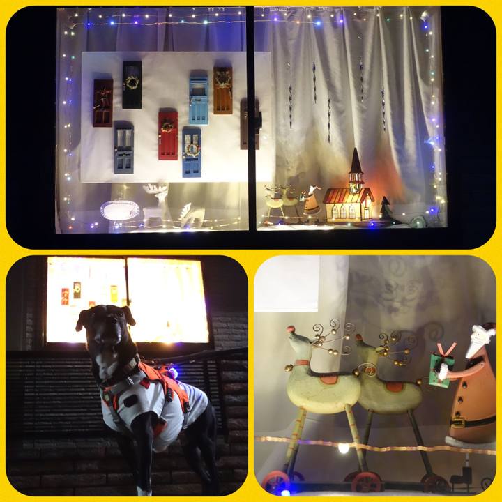 E41b1269 cd1f 4477 b244 30b3d039ba24 1734607147127