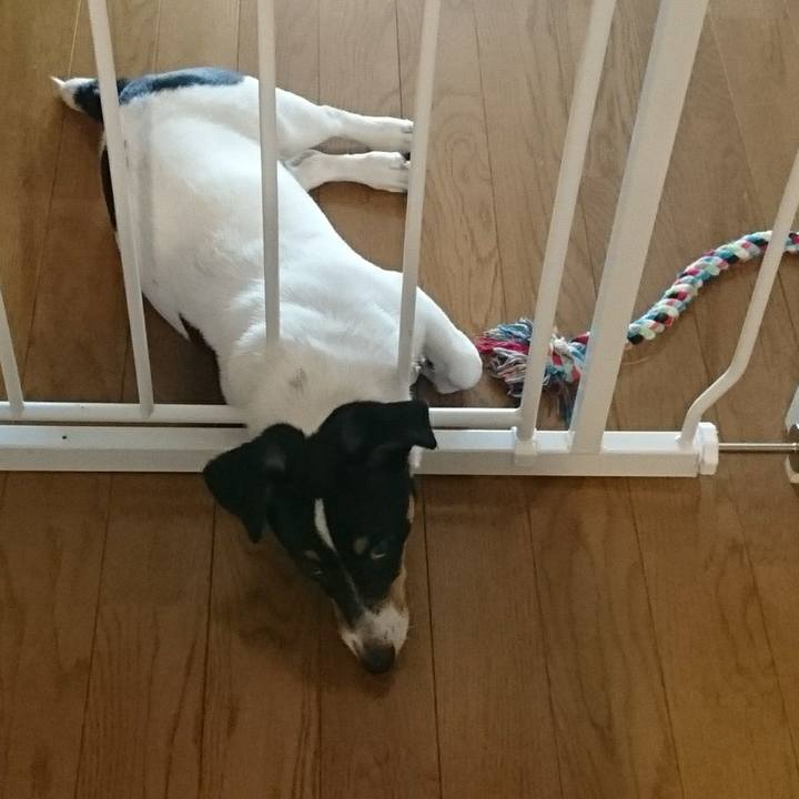 E41b195d f14e 4340 adbe 03269b941d1f 1524098395213