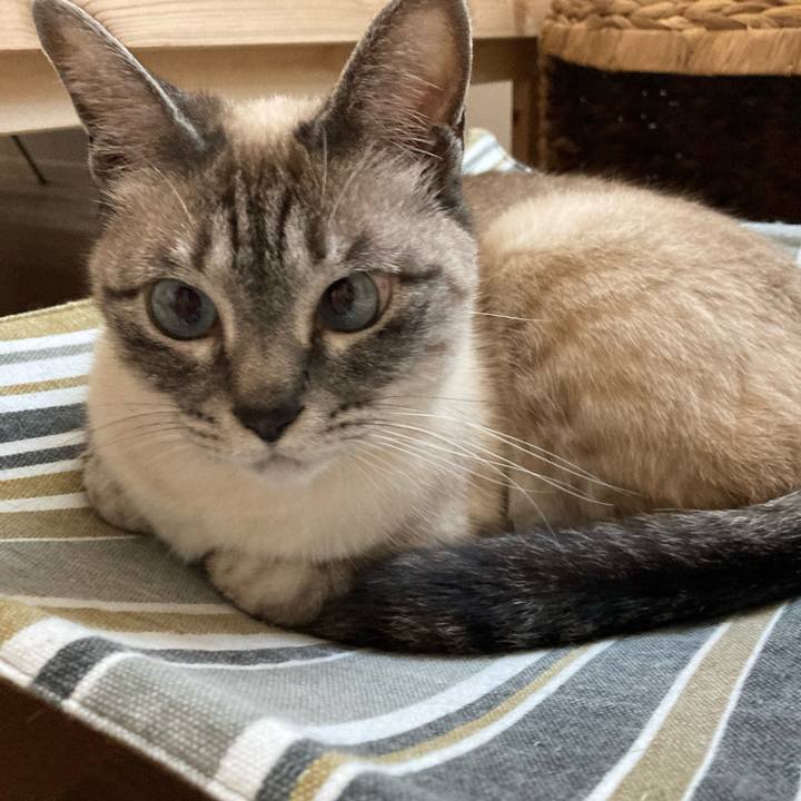 E41b32b8 99e3 40e7 90d6 22de6ab65ebe 1651980399676