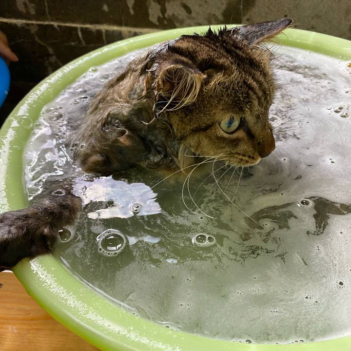 E41b53fd 6f2c 4de2 a49e 0c2fbf2827e9 1731471063375