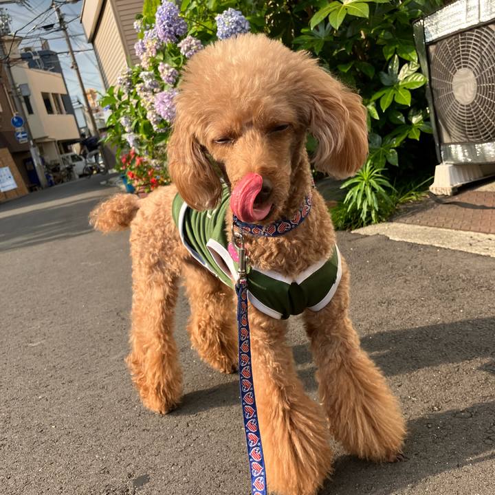 E41b5525 e163 42fd a9be 31f2b0730fb4 1667696732184