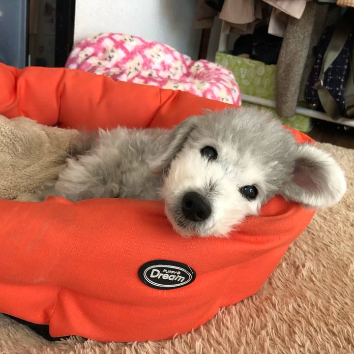 E41b90c7 5b33 4f48 8c98 ddec8d982dae 1577409758202