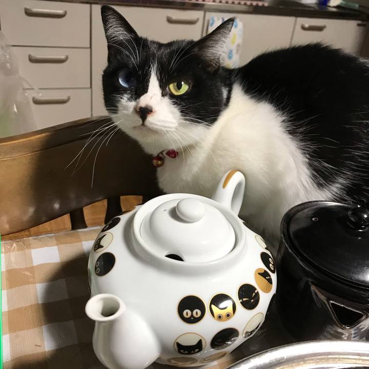 E41bb173 3698 4d61 a9db 4f522cf0fdd2 1545741921795