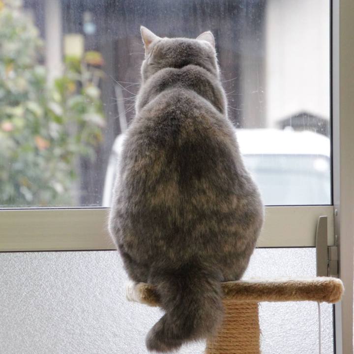 E41bf2b2 25ad 4aab a8eb dd7272ba9df9 1574064400980