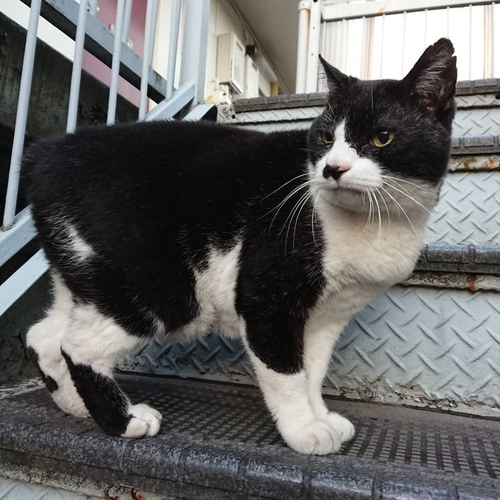 E41c0d4d df49 4973 901a a75901ddc3c1 1668294476976