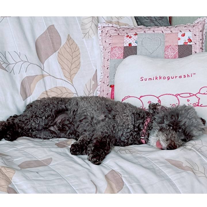 E41c4203 887e 41e8 81ae f8d011172212 1692499172324