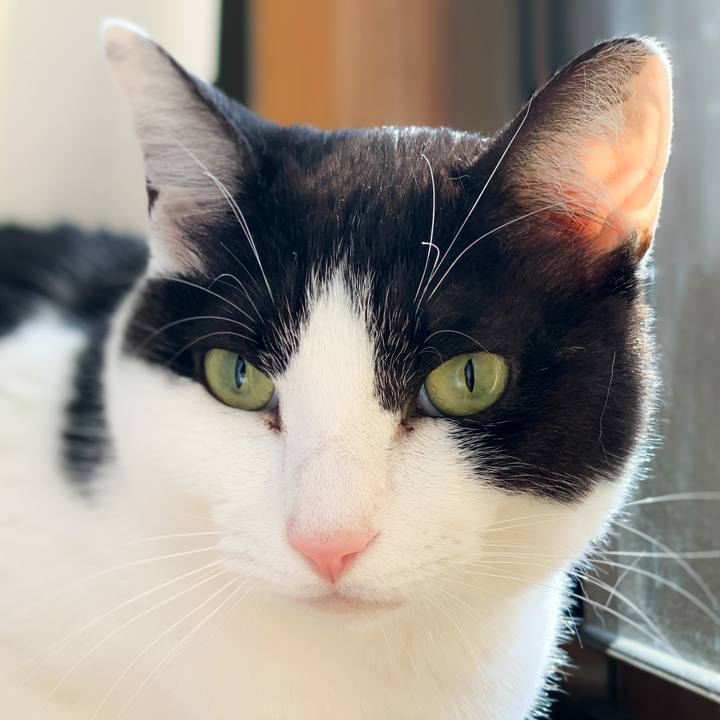 E41c48b8 fee2 48ee a47a 80375efc8863 1590200047731