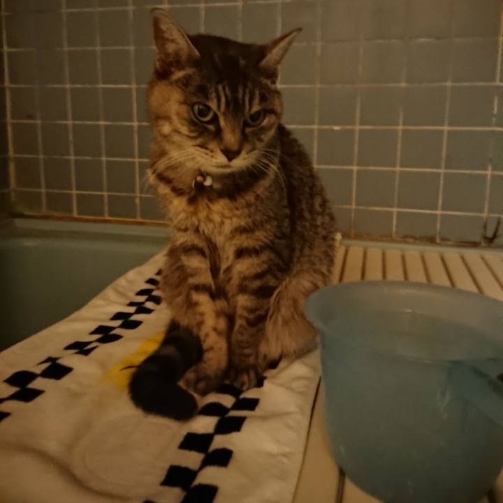 E41c69bc 2d18 40e4 b5db 1ab44156c6b6 1575711402102