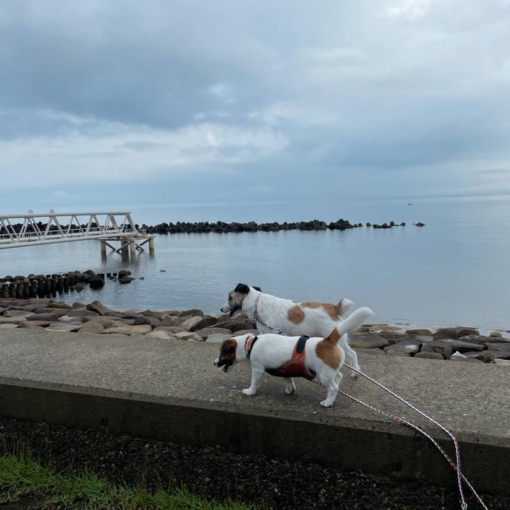 E41c8b65 05c2 42a3 bdfa 99d751092416 1626136103758