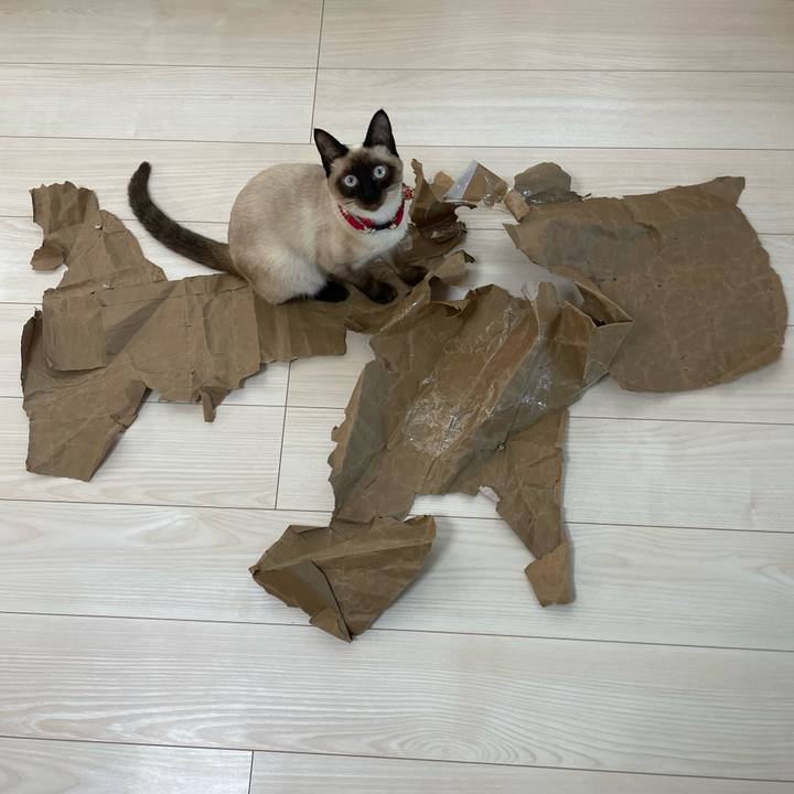 E41ca66b 5e8d 408e 8eef dc076f4a2174 1707520610856