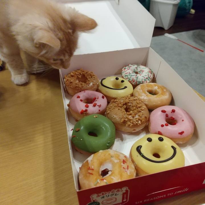 E41ccc2f b285 4b03 ad1f 2194063dee63 1607946499234